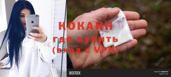 PSILOCYBIN Ладушкин