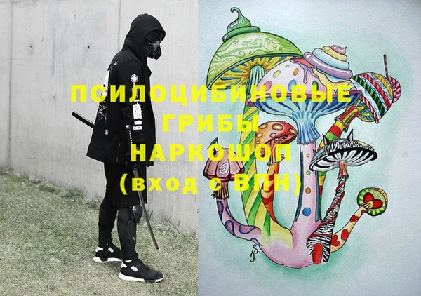 винт Лабытнанги