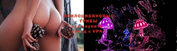 винт Лабытнанги