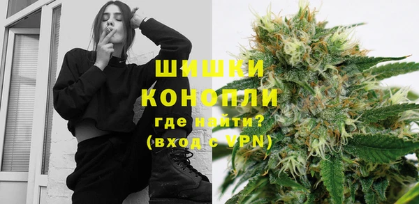 винт Лабытнанги