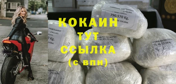 PSILOCYBIN Ладушкин