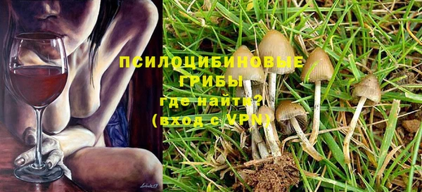 винт Лабытнанги